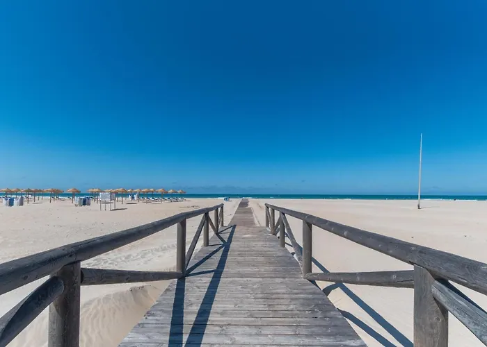 Alamar Bonito A 70 Metros De La Playa Wifi Gratis דירה