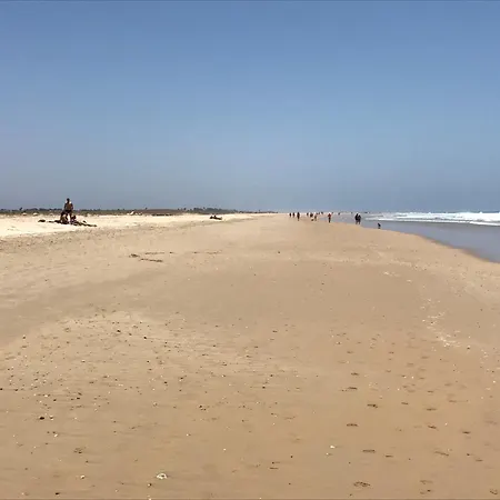 Alamar Bonito A 70 Metros De La Playa Wifi Gratis * 콘일데라프론테라