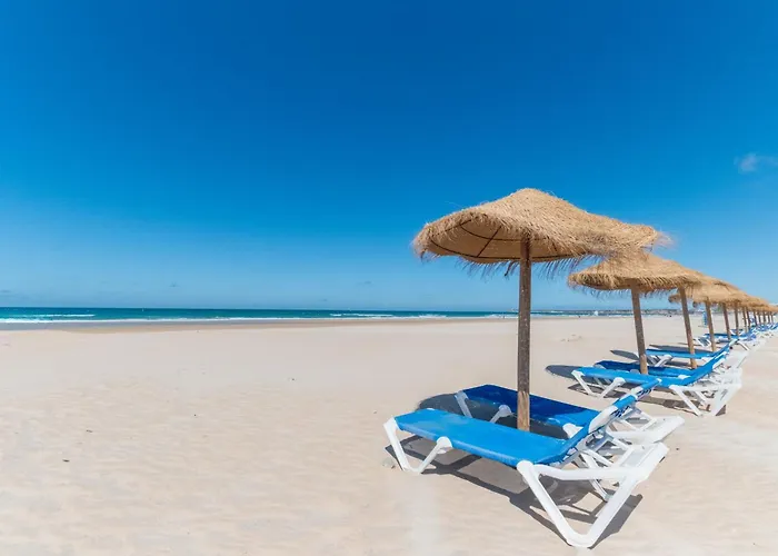 Alamar Bonito A 70 Metros De La Playa Wifi Gratis Διαμέρισμα *